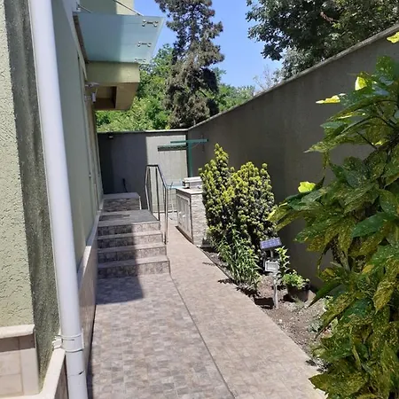 Green House * エフォリエ・スド